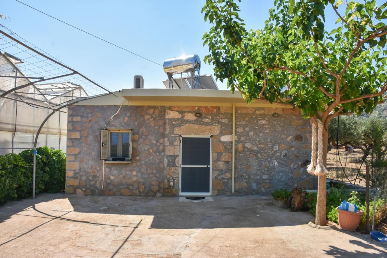 Pause Serenity House Into Olive Groves Agios Fotios Exterior foto