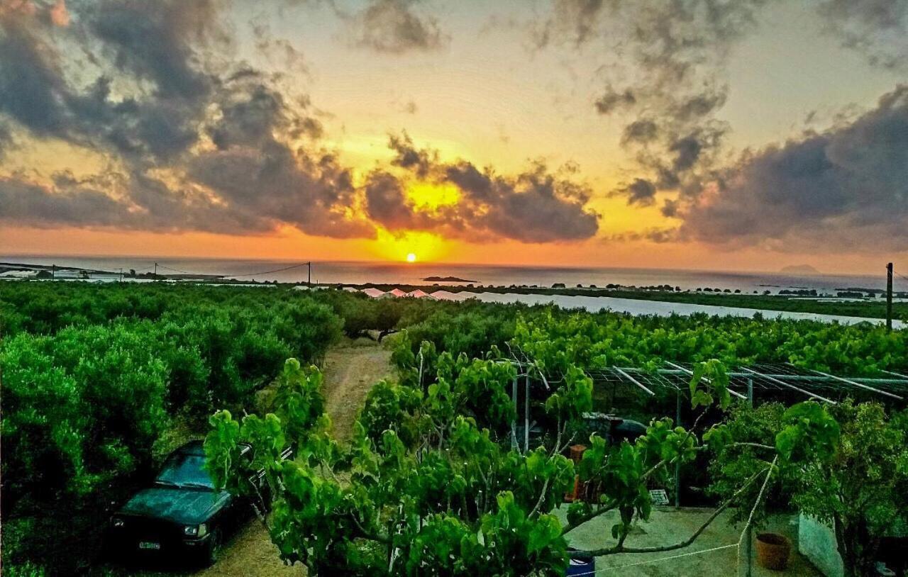 Pause Serenity House Into Olive Groves Agios Fotios Exterior foto